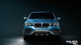 bmw-x4-10.jpg